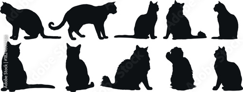 Black Cat Silhouettes Vector Collection in Different Poses