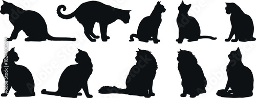 Collection of various cat silhouettes in different poses