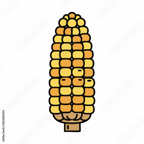 Freshly Harvested Golden Yellow Corn Cob Vegetable Illustration.