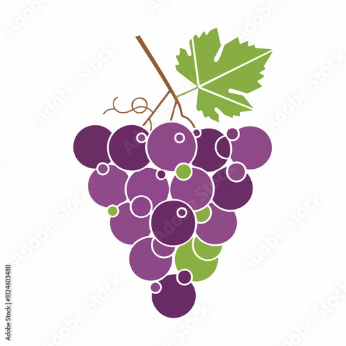 Stylized vector illustration of a purple grape cluster with a leaf.