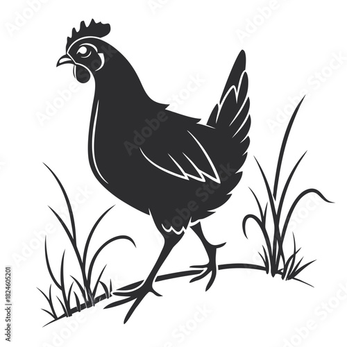 Silhouette of a chicken walking through grass on a white background fowl bird