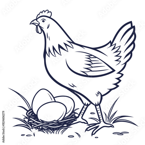 Hen standing beside a nest with three eggs on grass Keywords: chicken, hen, bird, poultry, farm