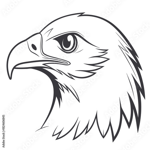 Close-up profile of an eagle's head with intense eyes bird raptor