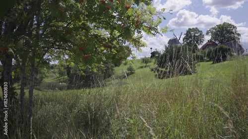 Pine tree with shadow on the road near the hill with a vintage mill. Spring sunny day. The road makes a turn and goes up a high hill against the background of a blue sky. Latvia tree by the road