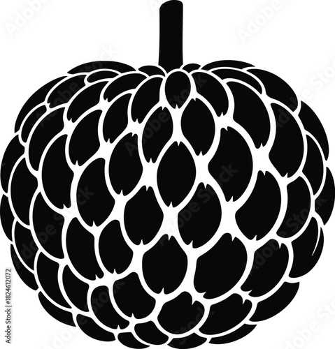 Black and white annona squamosa fruit illustration vector