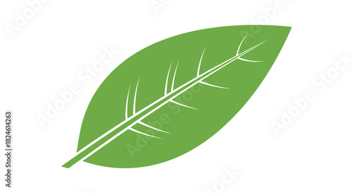 Minimal green leaf icon with elegant white veins on white background