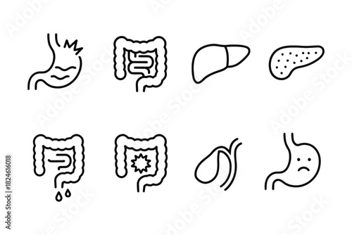 Digestive system icons: stomach, intestines, liver, gallbladder, pancreas