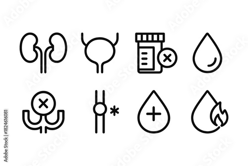 Simple icons for urology and urinary health: kidneys, bladder, medicine, and symbols