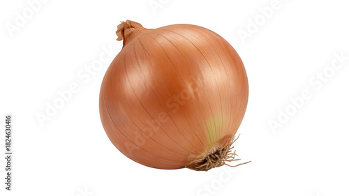 Wallpaper Mural Whole brown onion with roots and dry skin isolated on a transparent background Torontodigital.ca