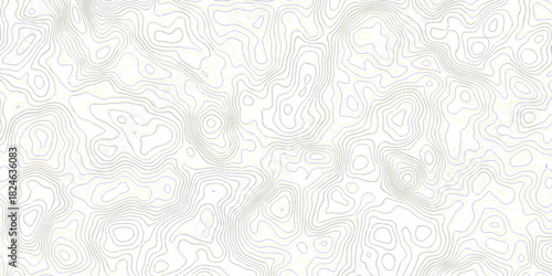 topography white background and black line wireframe isoline location diagram world map texture design.	
