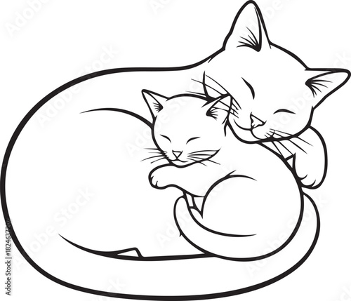 Adorable sleeping mother cat embracing her kitten cozy nap time domestic feline companionship