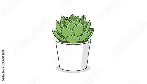 Minimal succulent houseplant in white ceramic pot.