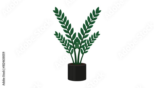 Tropical ZZ houseplant with glossy pinnate leaves.