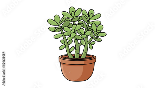 Lush jade succulent in terracotta pot illustration.