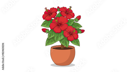 Red hibiscus blossoms in terracotta pot illustration.