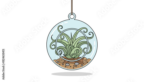 Hanging glass terrarium with air plant illustration.