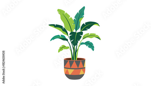 Tropical houseplant with broad leaves in patterned pot.