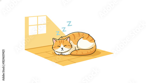 Orange Tabby Cat Sleeping on a Sunlit Mat.