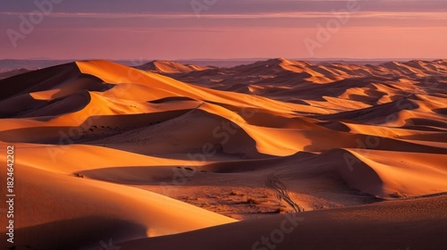 Fototapeta Naklejka Na Ścianę i Meble -  Sunrise light illuminating dunes in remote desert