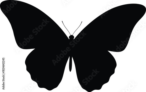 Elegant butterfly silhouette isolated on white background for design projects