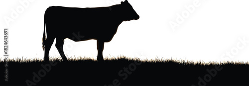 Silhouette of a cow standing in a field against a white sky