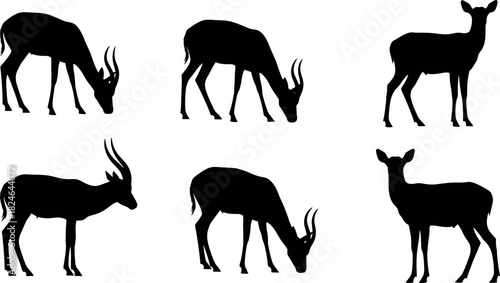 Silhouette antelope grazing and standing in pairs, horned and hornless wildlife animals in natural posture, isolated vector illustration set