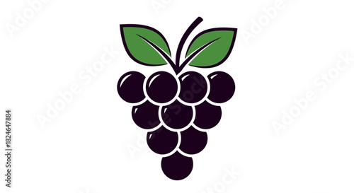 Vector illustration of bunch of purple grapes with green leaves