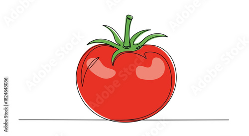 Vector illustration of red tomato with green stem in line art style