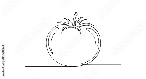 Vector illustration of single continuous line drawing of a tomato