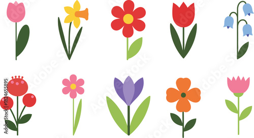 Collection of colorful spring flowers vector illustration set