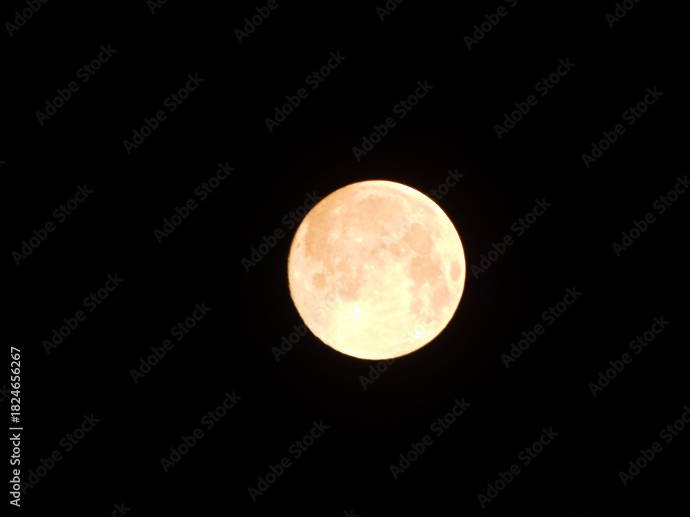 Fototapeta premium Vollmond am 5. November 2025 in der Uckermark