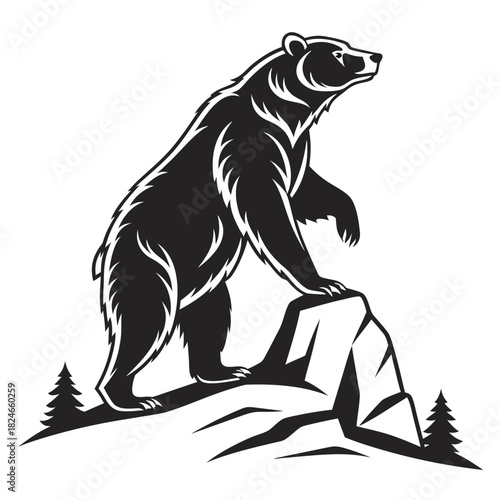 A standing bear illustration in vector format