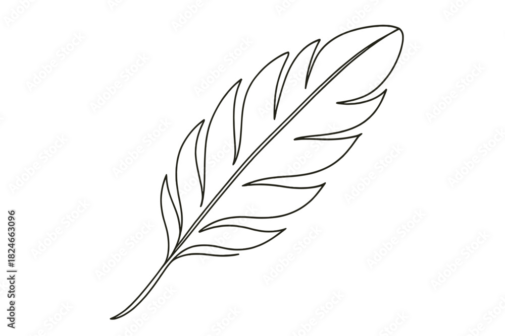 Obraz premium Simple black and white line art of a feather