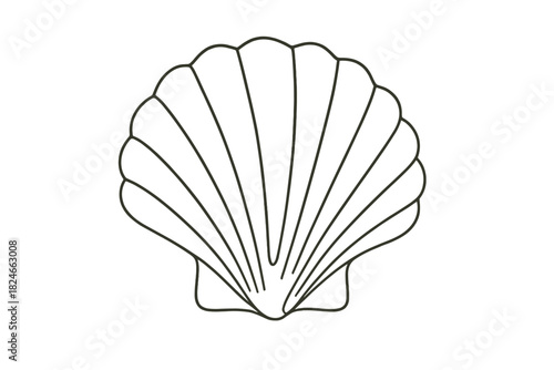Simple black and white outline of a sea shell on white background