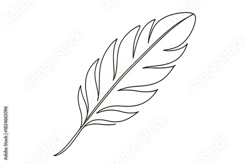 Simple black and white line art of a feather