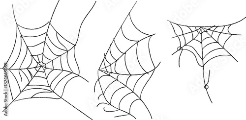 Spooky spider web collection in black and white detailed drawing illustration