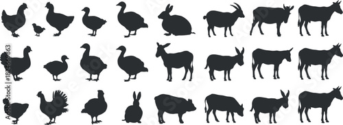 Silhouettes of farm animals chicken, duck, goose, rabbit, goat, donkey, pig white