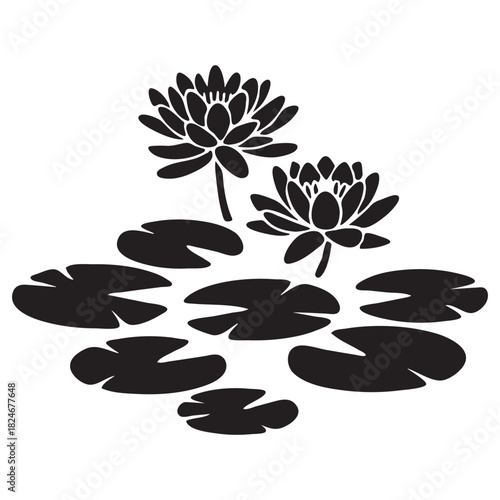 Two water lilies and lily pads silhouette water lily