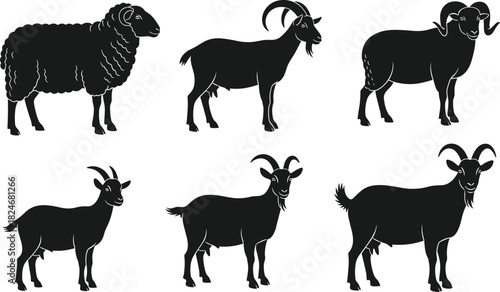 Sheep and goat silhouettes, farm livestock animals set, black vector illustration, domestic ruminants collection, isolated on white background design