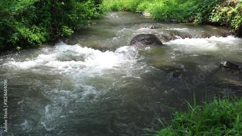 water flowing in the forest river
