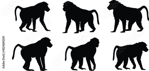 Baboon silhouette illustrations, black vector, standing pose, tail variation, profile view, animal design, character set, wildlife art