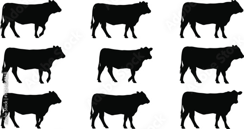 Cow walking silhouettes collection, black cattle vector set, farm livestock animals illustration, rural agriculture design, isolated on white background template