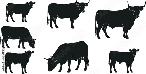Cow and bull silhouettes collection, farm livestock animals, black vector illustration, grazing cattle poses isolated on white background design pack