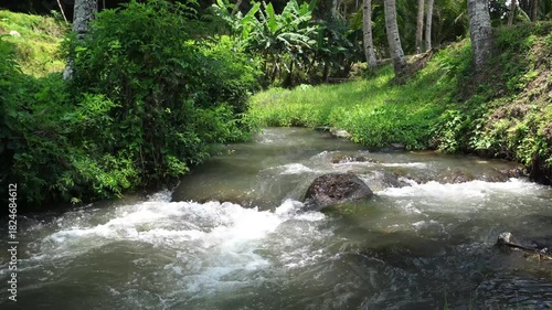 Natural Purity of Water in Rivers