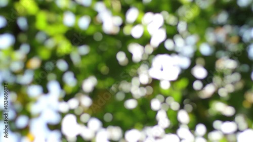 vivid light shifting abstract background