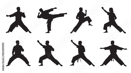 Set of martial arts silhouettes diverse stances and poses vector illustration on white background