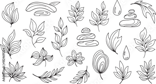 Organic nature elements leaves, stones, water drops line art set