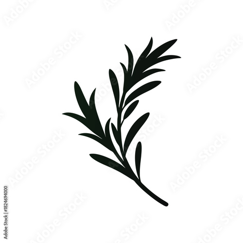 Rosemary sprig silhouette vector created as a minimalist herb graphic for natural themes Vector illustration