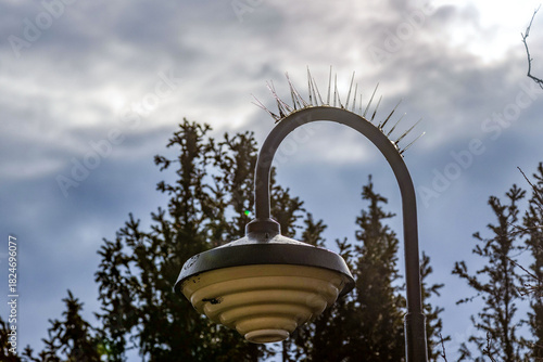 Картината върху платно Close-up of a park lantern with glass anti-perching spikes against a cloudy sky