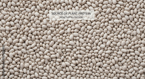 Nutritious dried white beans packed with plant protein, excellent for healthy eating, vegan meals, and dietary fiber, fueling an active lifestyle